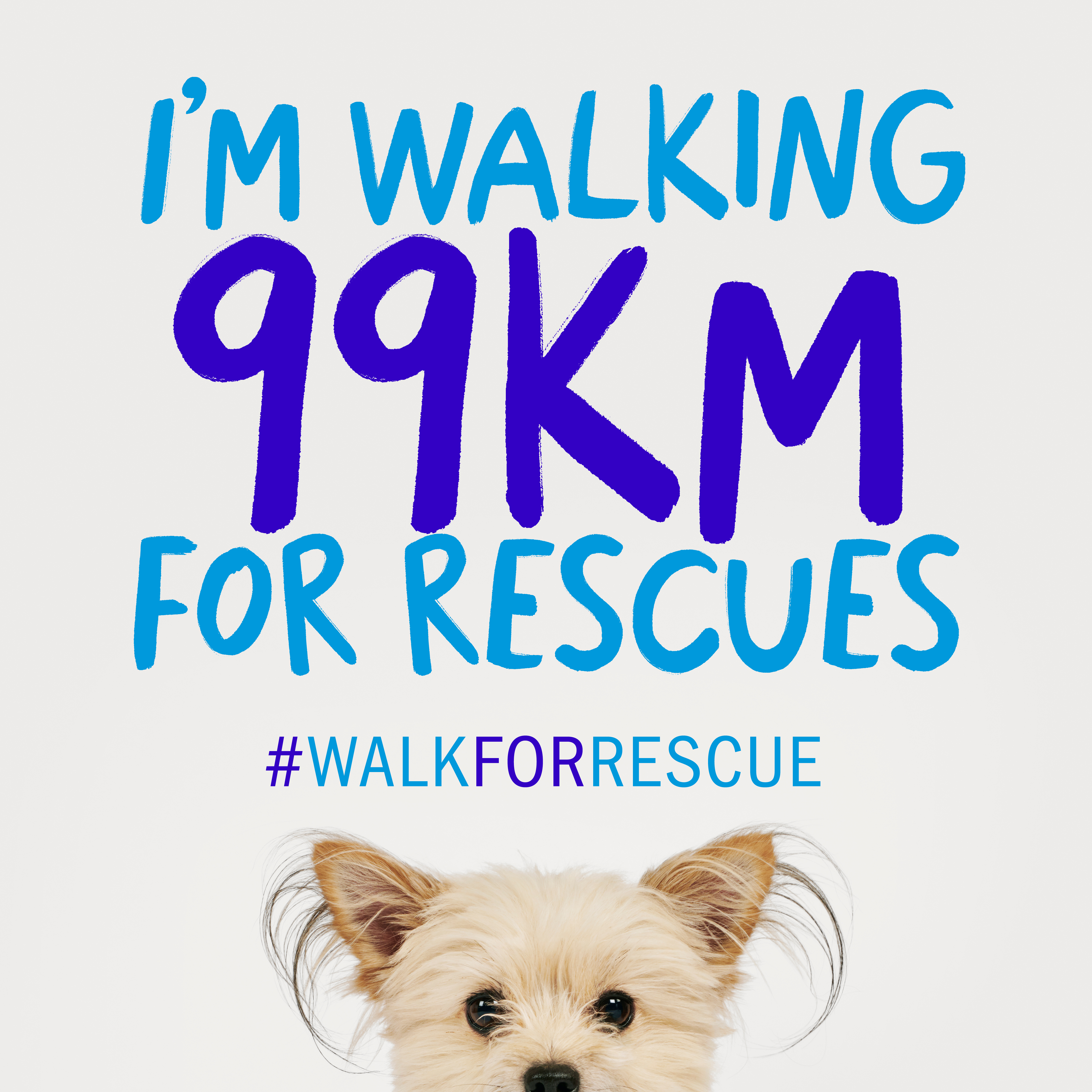 I'm Walking 99km