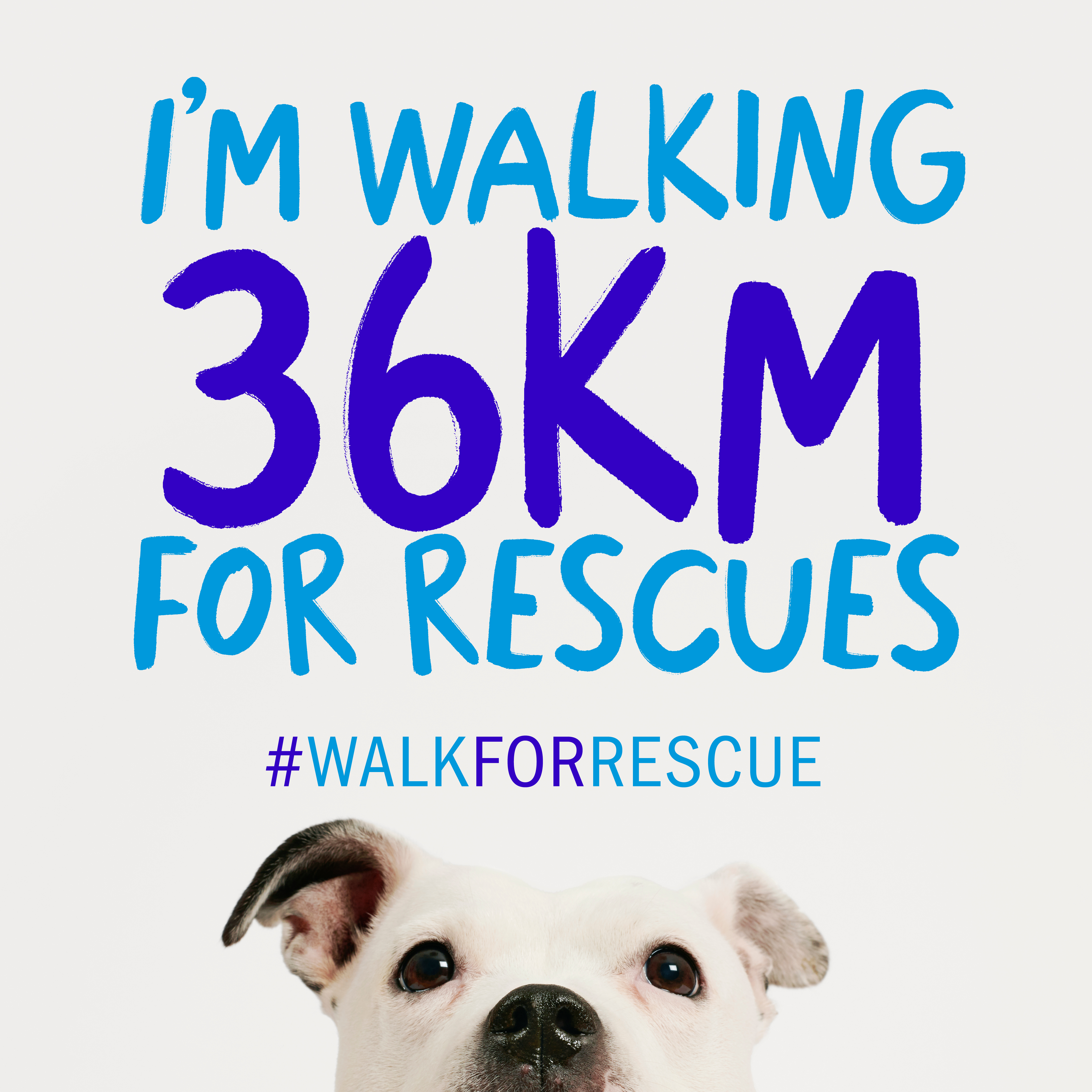 I'm Walking 36km