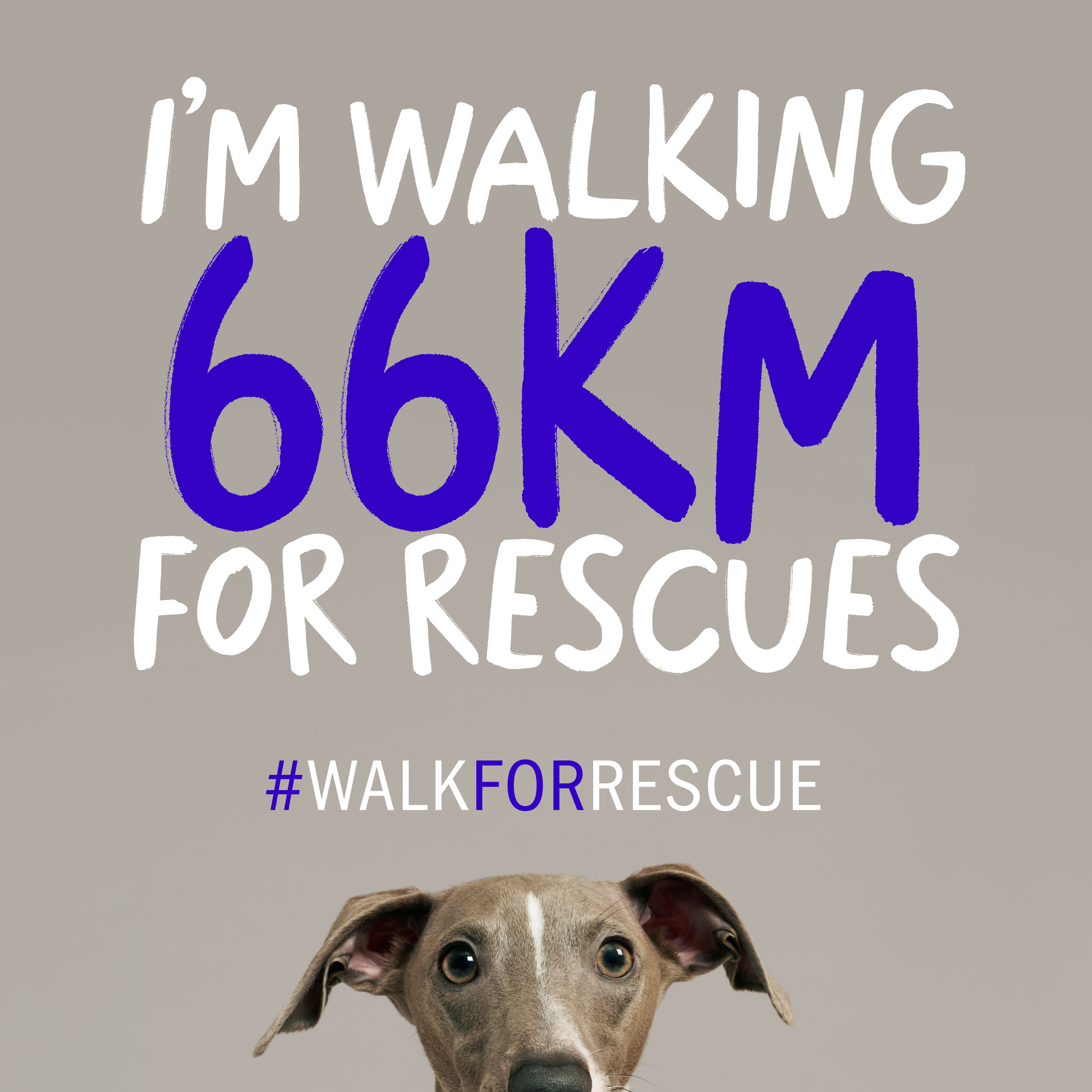 I'm Walking 66km